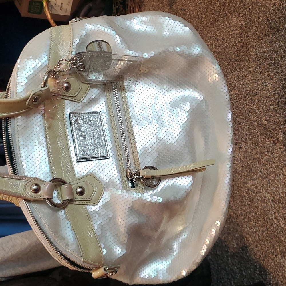 COACH Poppy Sequin Iridescent Bag